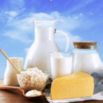 From Farm to Five-Star: How Arna Dairy Powers Karnataka’s Hospitality Industry